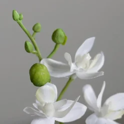 Clearance Kunstblume Mini-Orchidee Phalaenopsis Orchideen