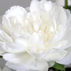 Grünpflanzen|Kunstblume Päonien-Arrangement 66 cm