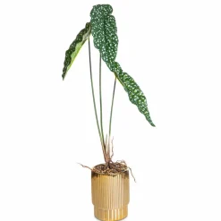 New Kunstpflanze Alocasia Grünpflanzen