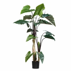 DAHEIM Kunstpflanze Alocasia 180 cm