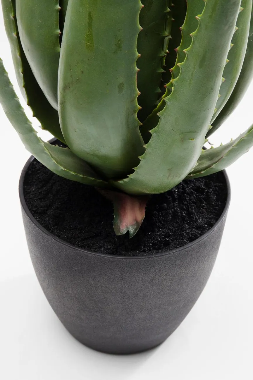 KARE DESIGN Kunstpflanze Aloe 60724