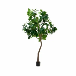 Kave Home Kunstpflanze Fikus