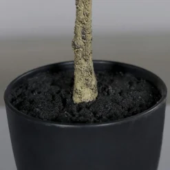 Grünpflanzen|Kunstpflanze Mandarinenbaum 55 cm