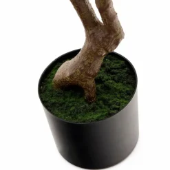 Online Kunstpflanze Pachira Grünpflanzen