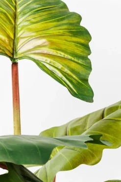 KARE DESIGN Grünpflanzen|Kunstpflanze Rainforest 60720