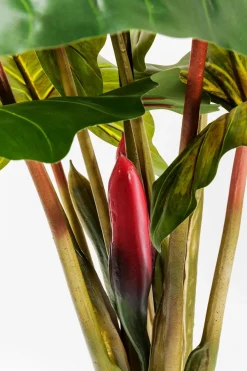 KARE DESIGN Grünpflanzen|Kunstpflanze Rainforest 60720