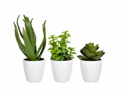Online Kunstpflanze Sukkulente 22,5 cm Grünpflanzen