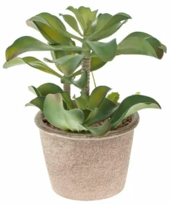 Kunstpflanze Sukkulente 25 cm