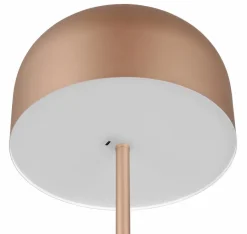 Reality Leuchten Stehlampen|LED-Akkustehlampe Jeff