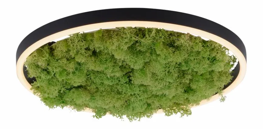 JUST LIGHT. LED-Deckenleuchte Gerda Ritus