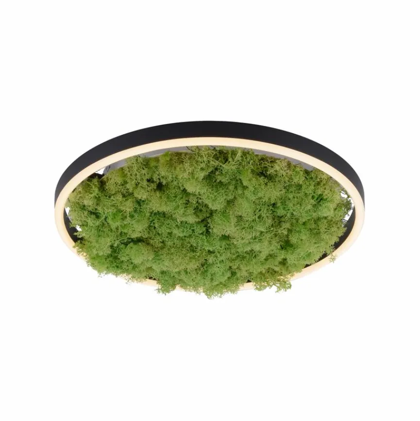 JUST LIGHT. LED-Deckenleuchte Gerda Ritus