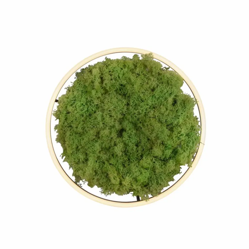 JUST LIGHT. LED-Deckenleuchte Gerda Ritus