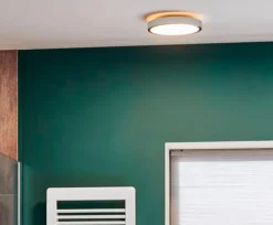 Paulmann LED-Deckenleuchte AVIAR