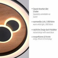 Paul Neuhaus LED-Deckenleuchte Eliza