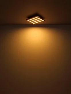 Globo LED-Deckenleuchte Hayden