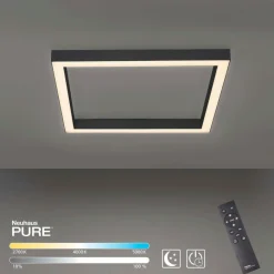Neuhaus PURE Deckenleuchten|LED-Deckenleuchte PURE-LINES