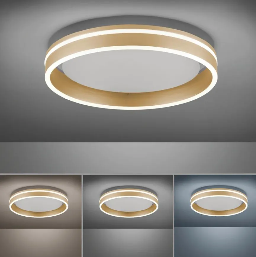 Q SMART HOME LIGHTS Deckenleuchten|Deckenleuchten|LED-Deckenleuchte Q-Vito