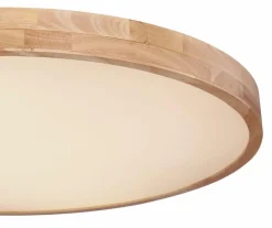 Globo Deckenleuchten|LED-Deckenleuchte Rainer