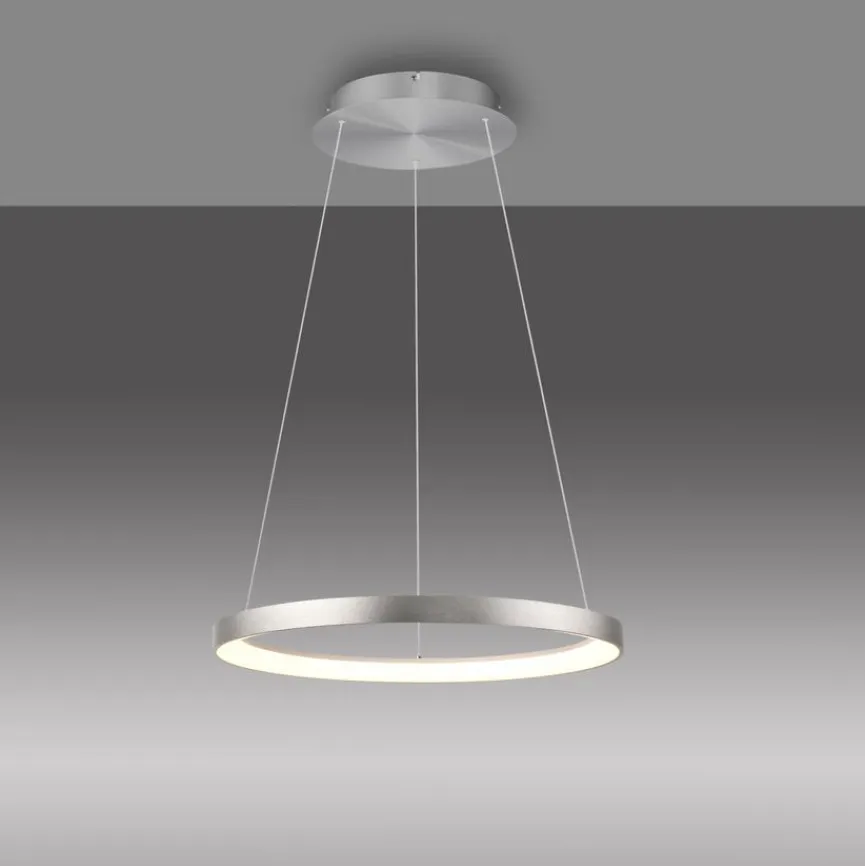 Paul Neuhaus LED-Pendelleuchte Hoop