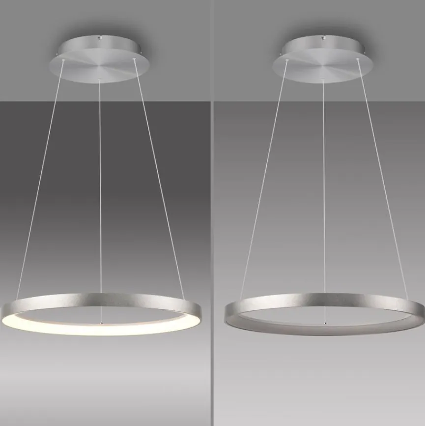 Paul Neuhaus LED-Pendelleuchte Hoop