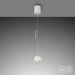 LED-Pendelleuchte Lini Pendelleuchten