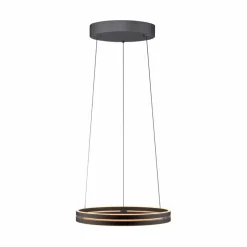 Sale LED-Pendelleuchte Pure E-Loop Pendelleuchten