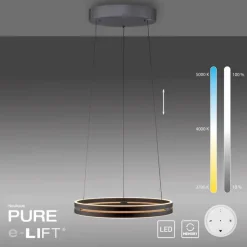 Sale LED-Pendelleuchte Pure E-Loop Pendelleuchten