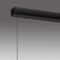 Neuhaus PURE Pendelleuchten|LED-Pendelleuchte Pure-Motion