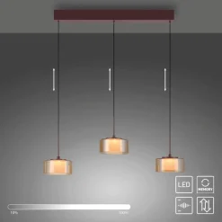 Paul Neuhaus Pendelleuchten|LED-Pendelleuchte RIKA