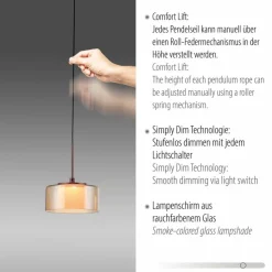 Paul Neuhaus Pendelleuchten|LED-Pendelleuchte RIKA