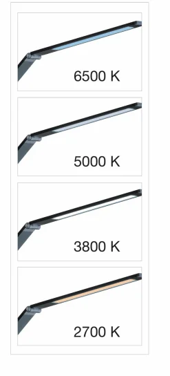 Fischer & Honsel LED-Stehlampe Geri