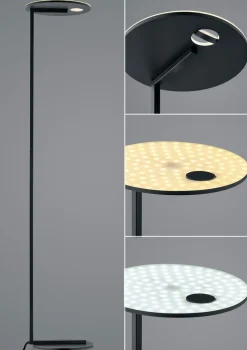 Hell LED-Stehlampe Sole