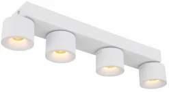 Online LED-Strahler Rae Spots & Strahle