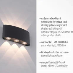 Online LED-Wandleuchte Carlo Außenwandleuchten|Außenwandleuchten