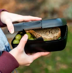 Koziol Lunchbox Pascal L