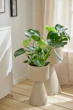 Musterring Blumenständer|Pflanzenständer JustB!