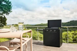 Discount Plancha Wagen Modern Plancha Wagen 75 Grillzubehör