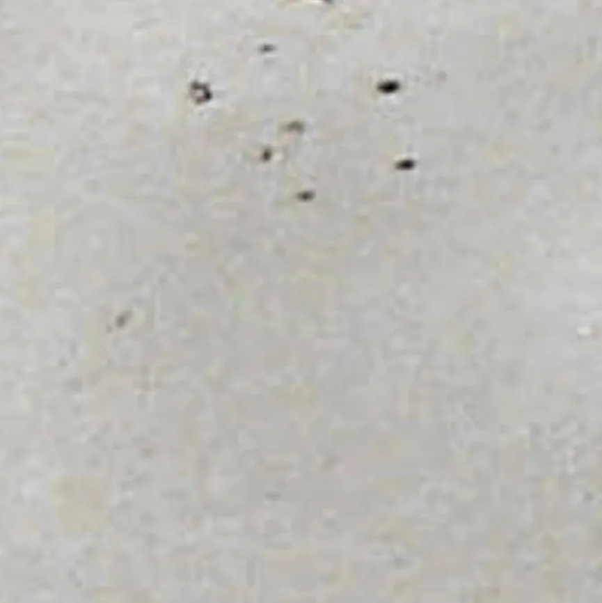 Hot Platte Nature Collection 16,5x33 cm Platten|Servierplatten