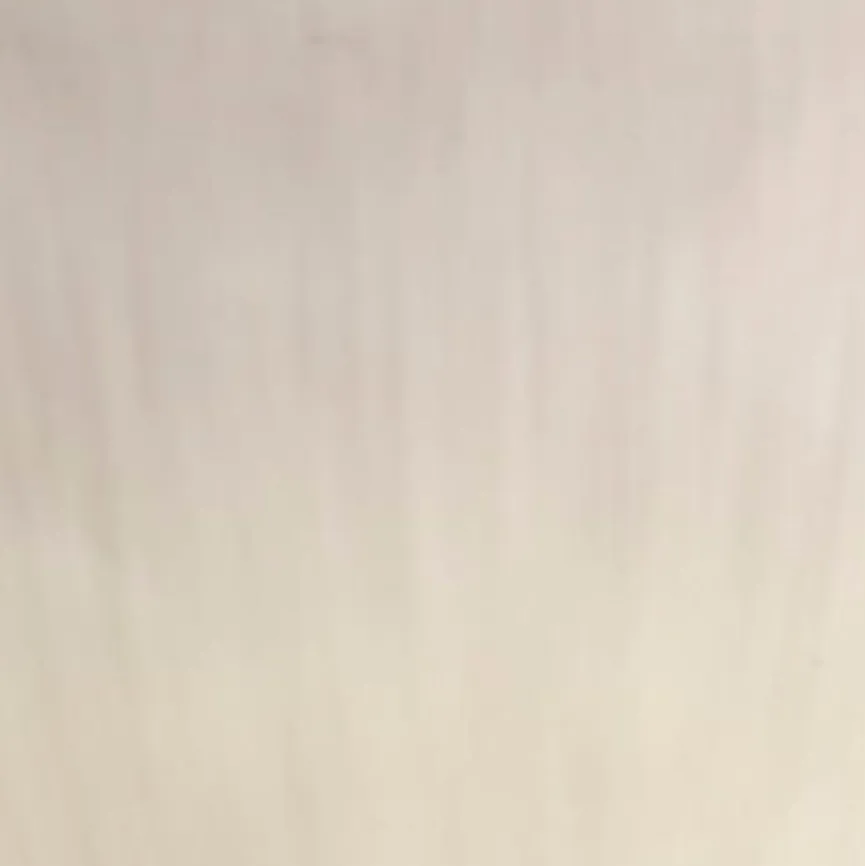 like. by Villeroy & Boch Schale Perlemor Sand 1200 ml