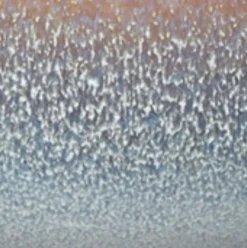 ASA Selection Schale Saisons 350 ml