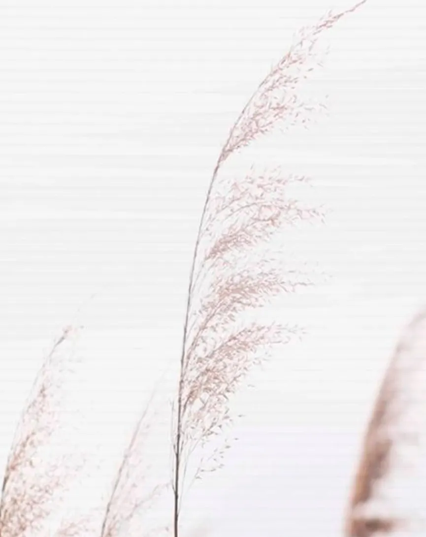 Schmidt Schiebevorhang Pamilo 5er-Set