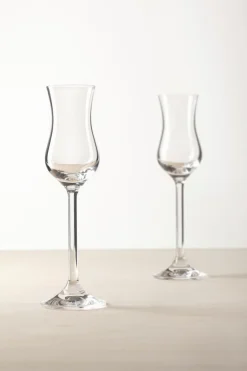 Leonardo Gläser|Schnapsglas Daily 100 ml