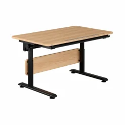 Kinder Paidi Kinder- & Jugendschreibtische|Kinder- & Jugendschreibtische|Schreibtisch Diego