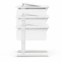 Kinder Moll Kinder- & Jugendschreibtische|Kinder- & Jugendschreibtische|Schreibtisch e-Champion