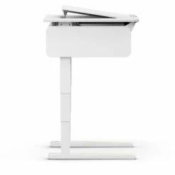 Kinder Moll Kinder- & Jugendschreibtische|Kinder- & Jugendschreibtische|Schreibtisch e-Champion