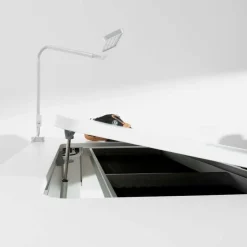 Kinder Moll Kinder- & Jugendschreibtische|Kinder- & Jugendschreibtische|Schreibtisch e-Champion