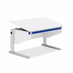 Kinder Moll Schreibtisch Winner Comfort