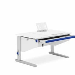 Kinder Moll Schreibtisch Winner Split Classic