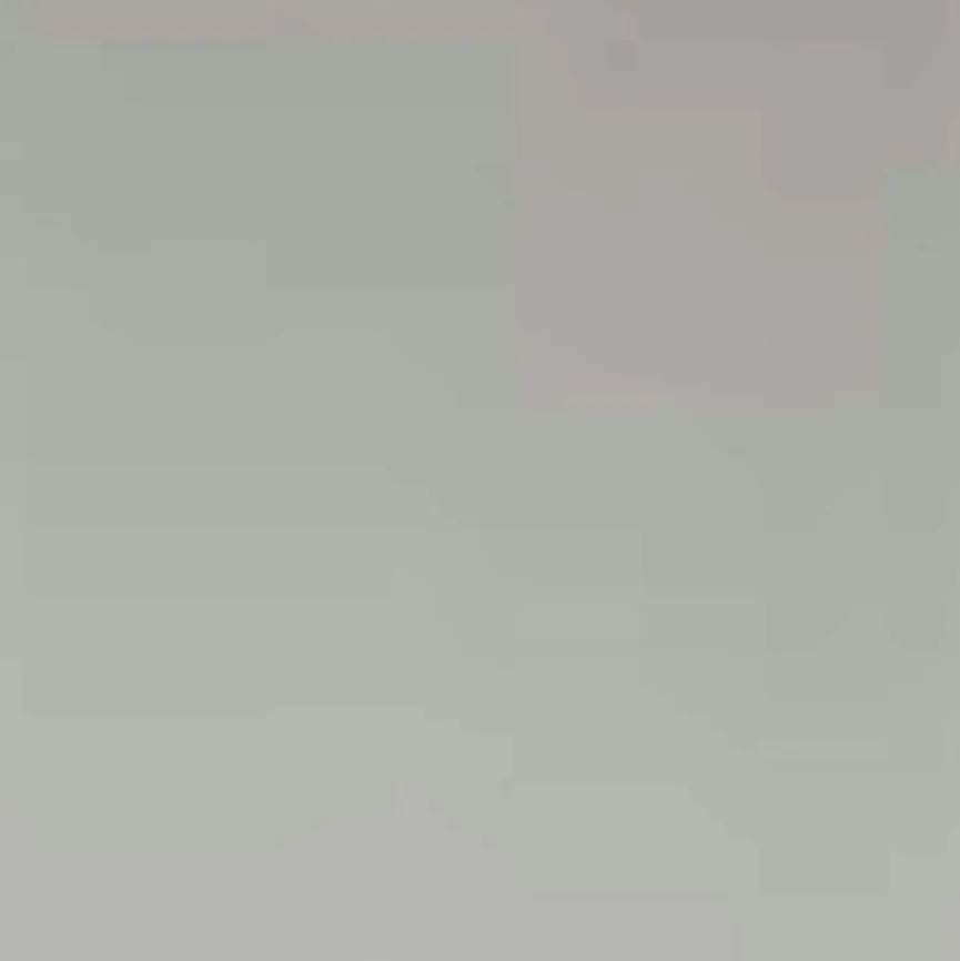 blomus Gläser|Sektglas Belo 2tlg.