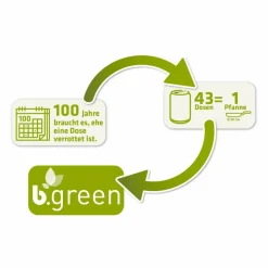 Servierpfanne Be Green Ø 28 cm Pfannen